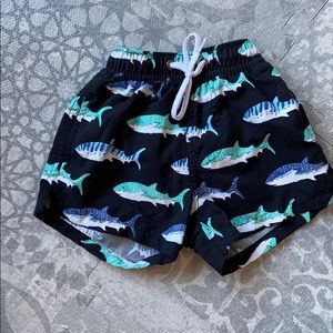 Baby boys swim shorts